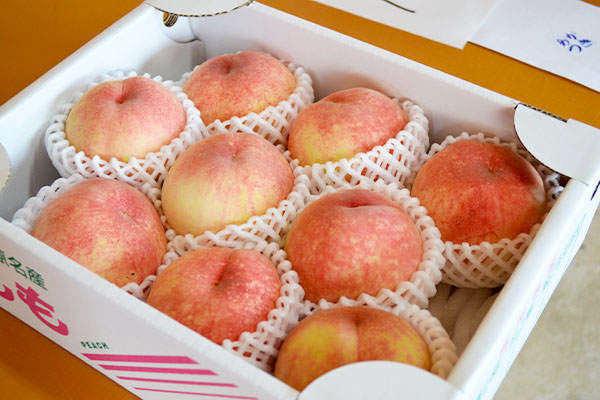 あかつき箱詰め