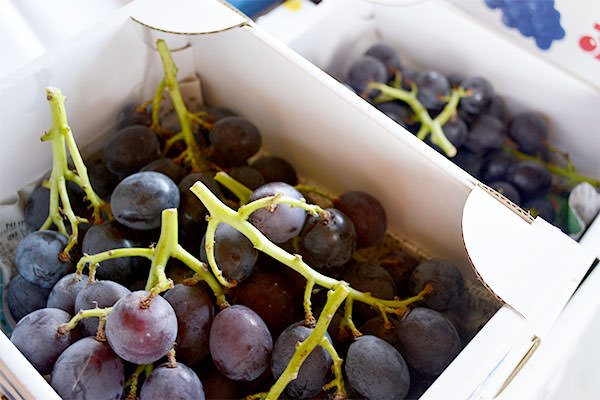 ブラックビート