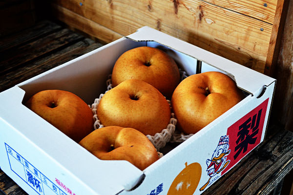 ご家庭用【愛宕梨・新高梨】