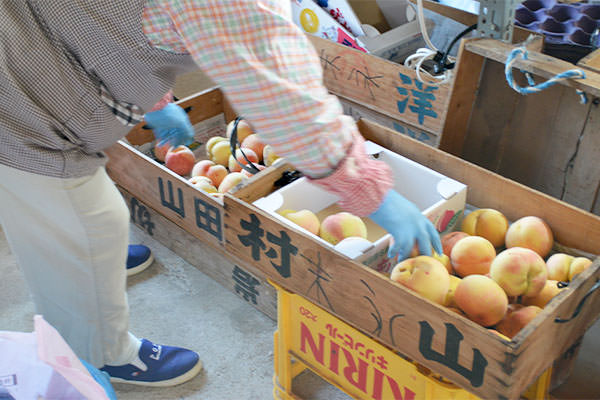 家庭用の桃の選別作業