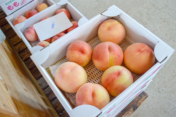 ブラックビート