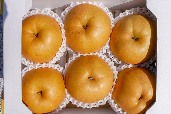 新高2.5kg箱の画像