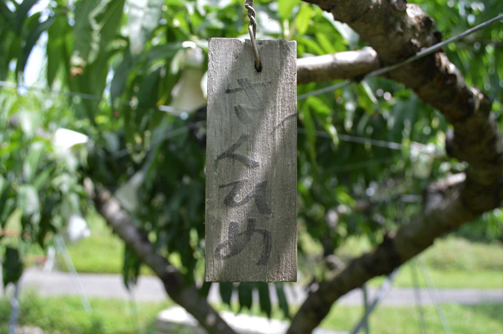 いちじく箱詰め